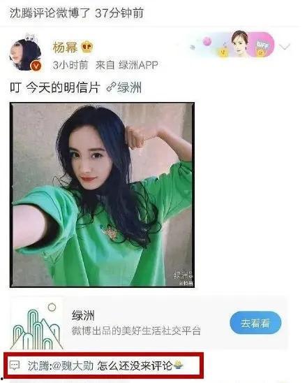 吃瓜直播娱乐圈官网
